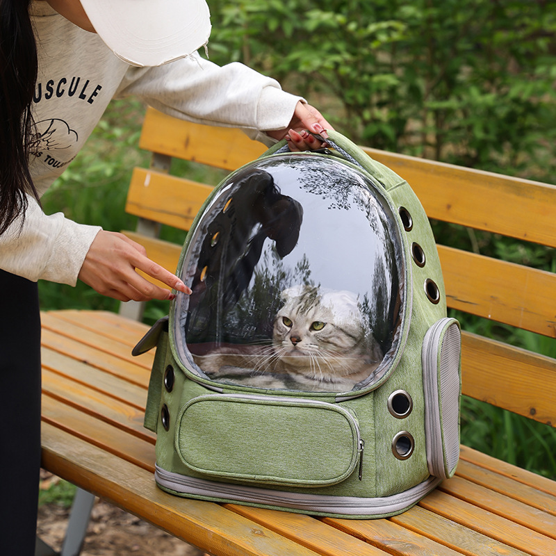 Cat Carrier