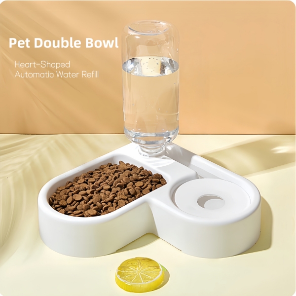 Food Bowl