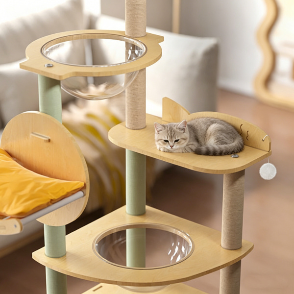 Cat Climbing Frame 