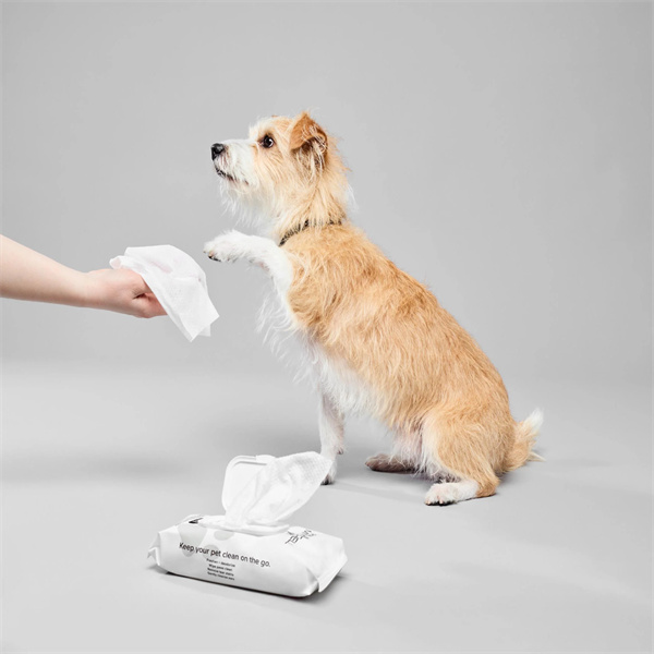 Wet Wipes 
